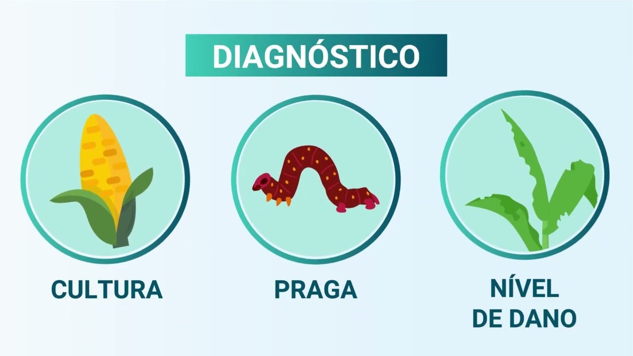 Aquisição de defensivos agrícolas Senar Play