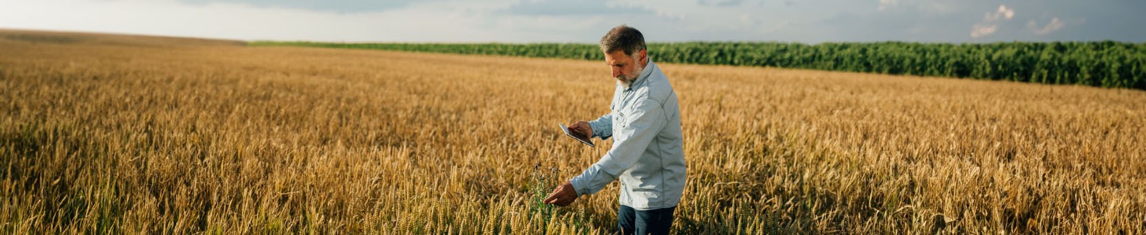 Aprendendo e Empreendendo: na Vida e no Negócio Rural