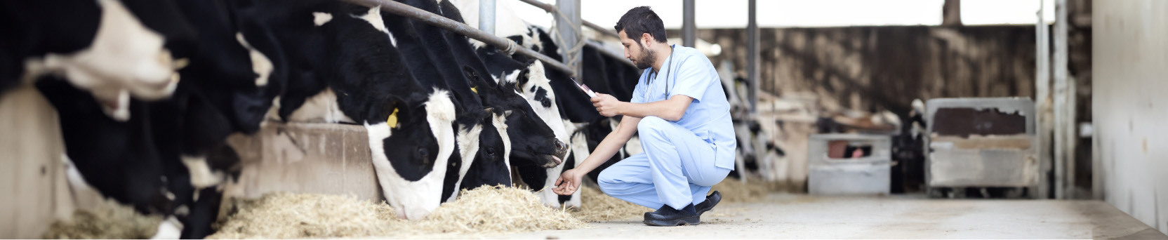 Auxiliar em Saúde Animal