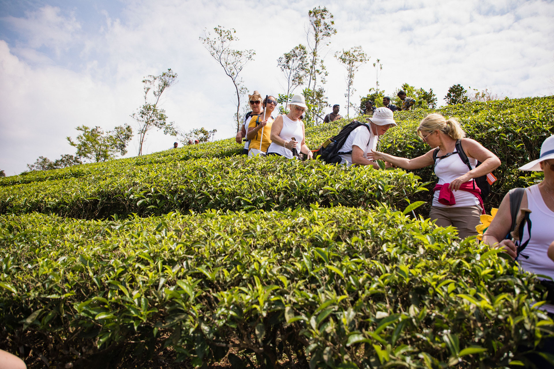 Como preparar a sua propriedade para receber turistas