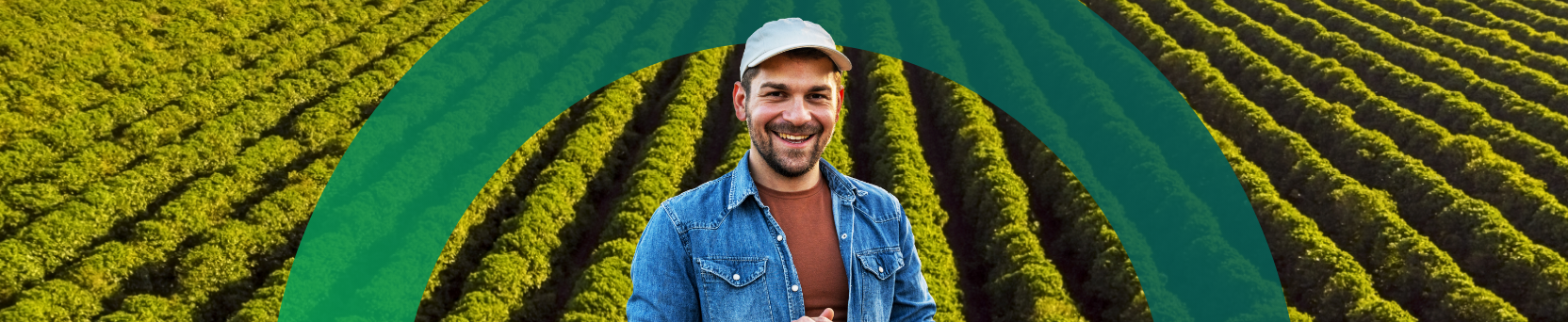 WhatsApp Business para Produtores Rurais