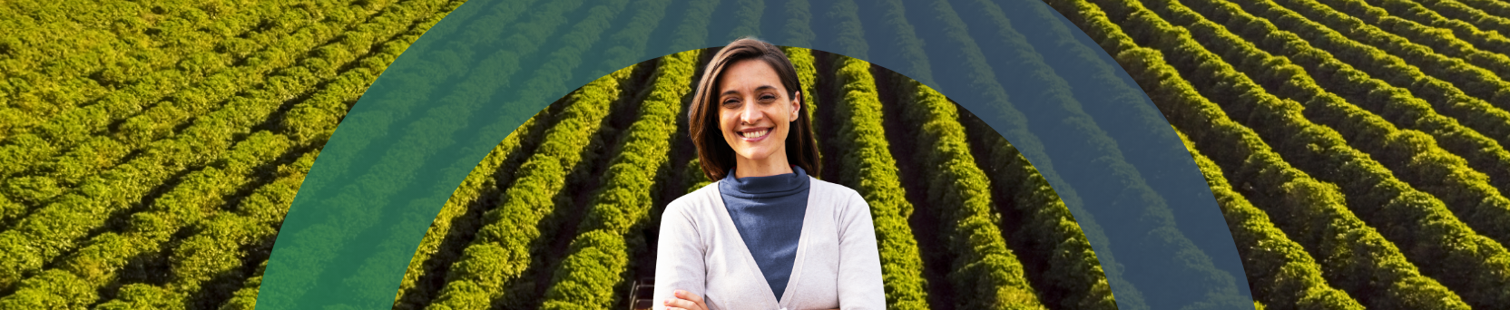 Marca e Posicionamento no Agronegócio