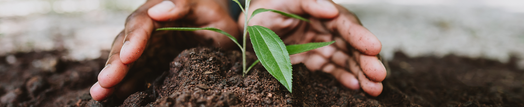 Educação Ambiental