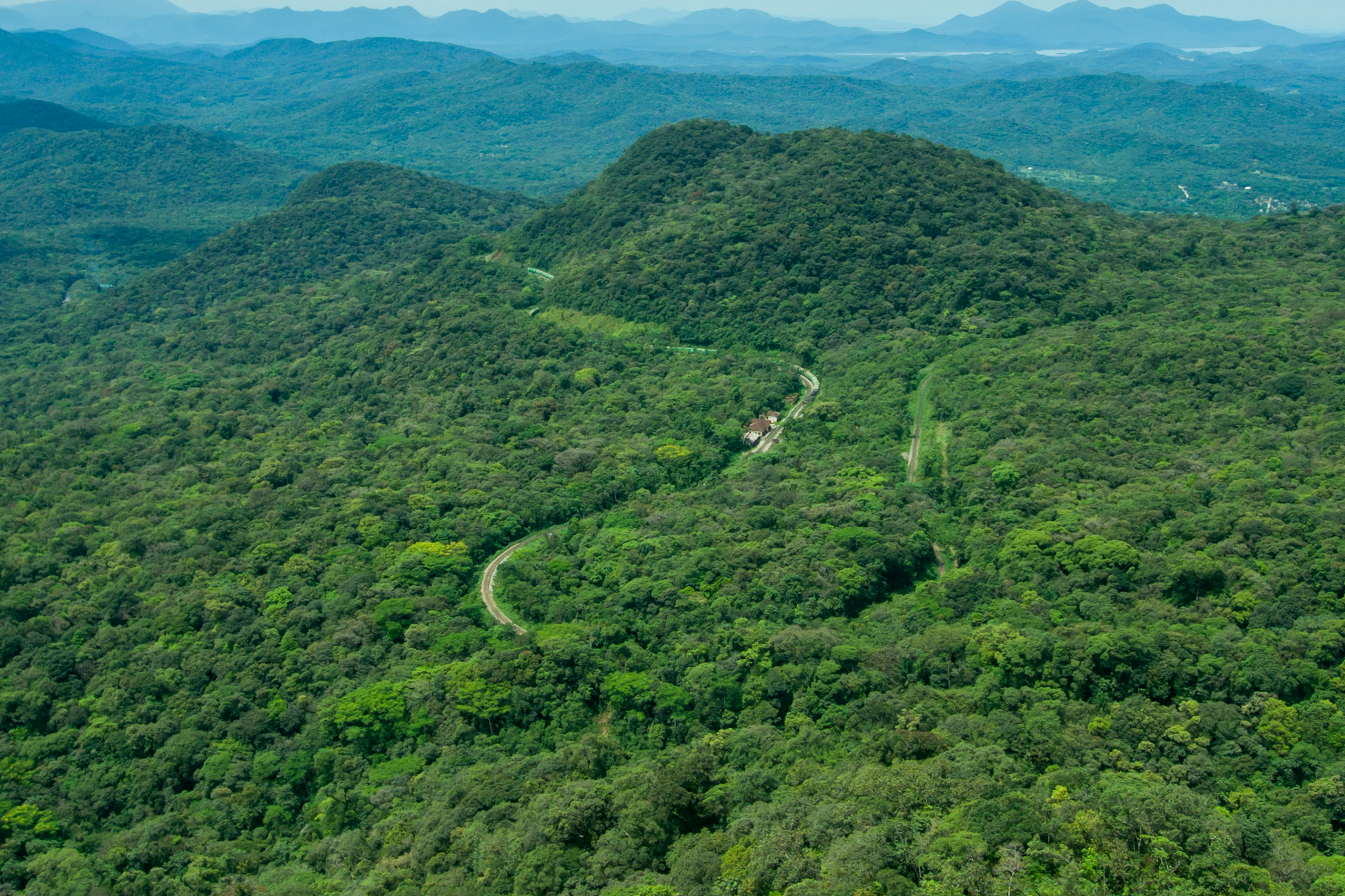 Elementos de Paisagem e Processos Ecológicos do Bioma Mata Atlântica