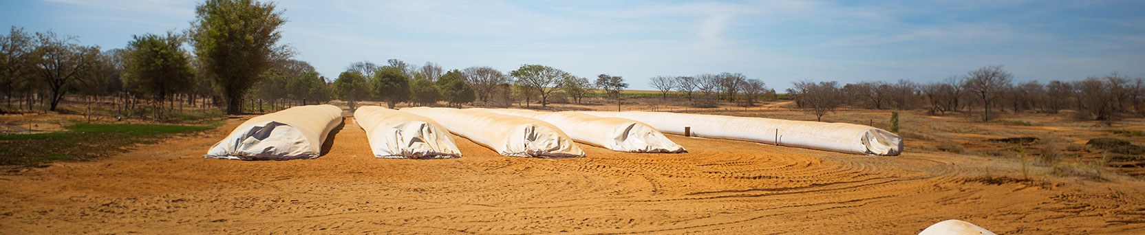 Armazenamento de Grãos em Silo-bolsa