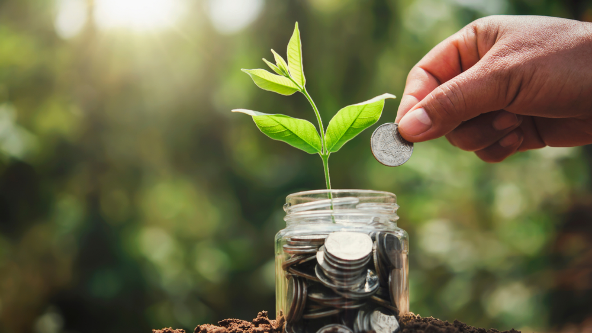 Reforma Tributária: impactos e estratégias para o agro