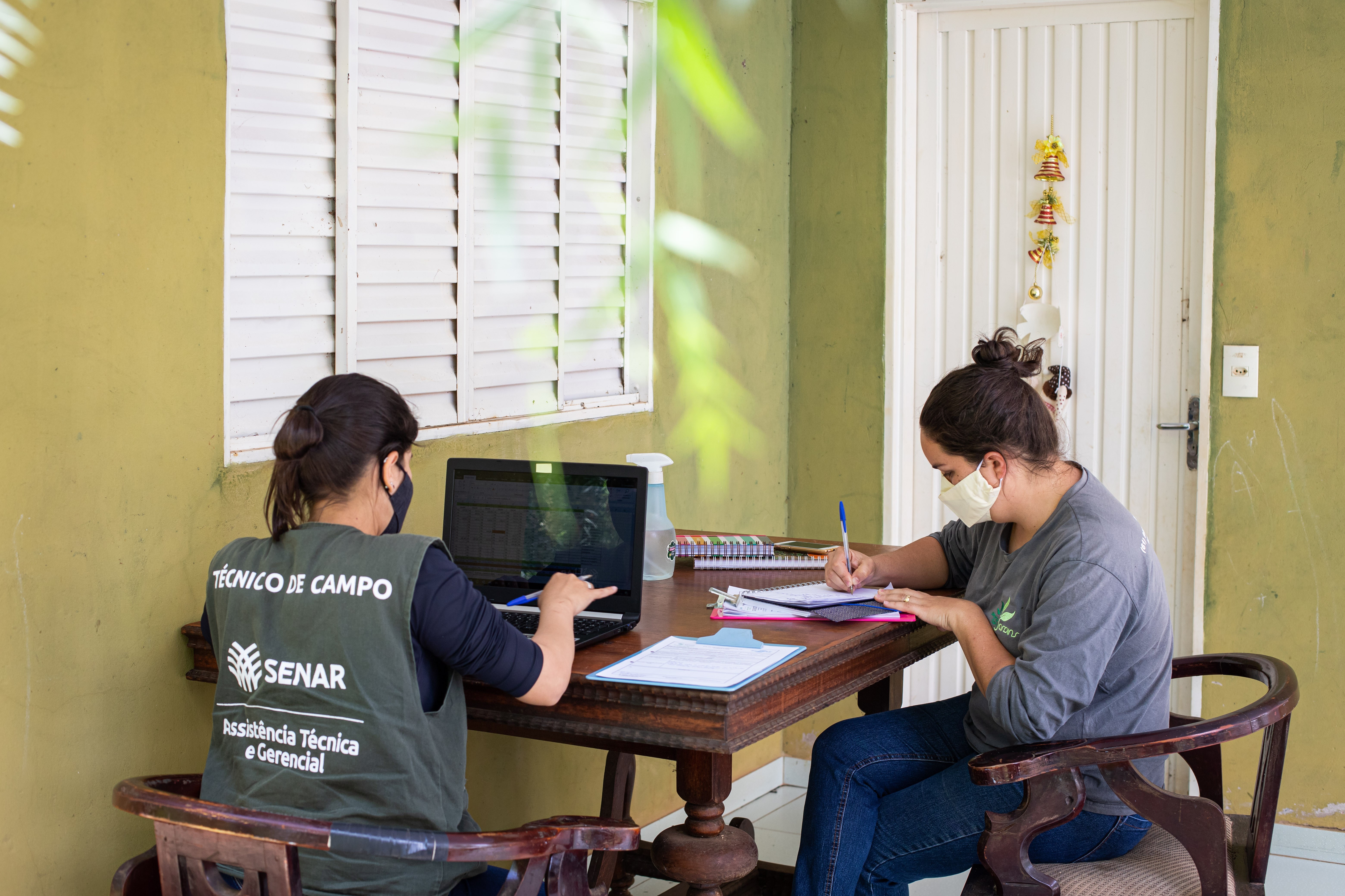 Sistema de Informações e Análise Econômico-Financeira Rural