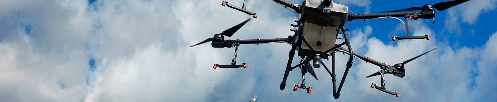 Agricultura de Precisão em Diferentes Culturas