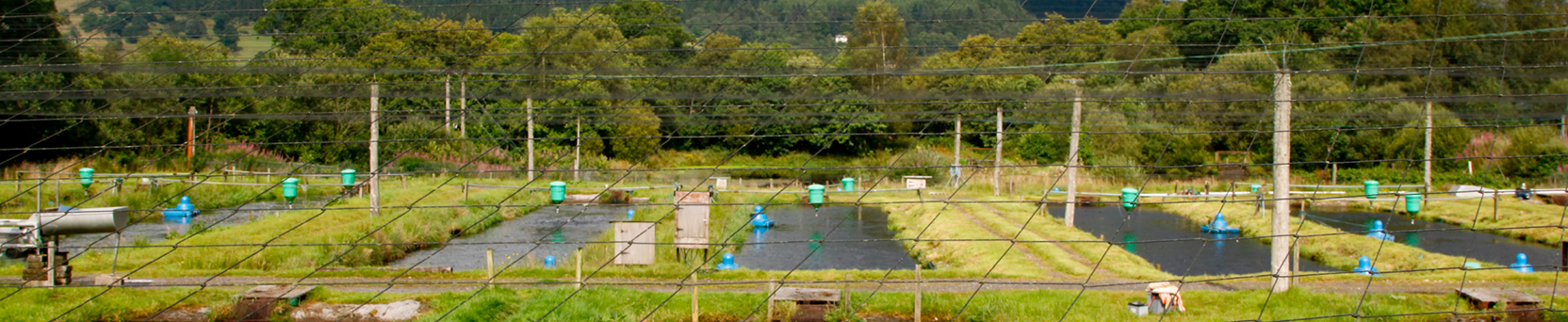 Assuntos Gerais na Piscicultura