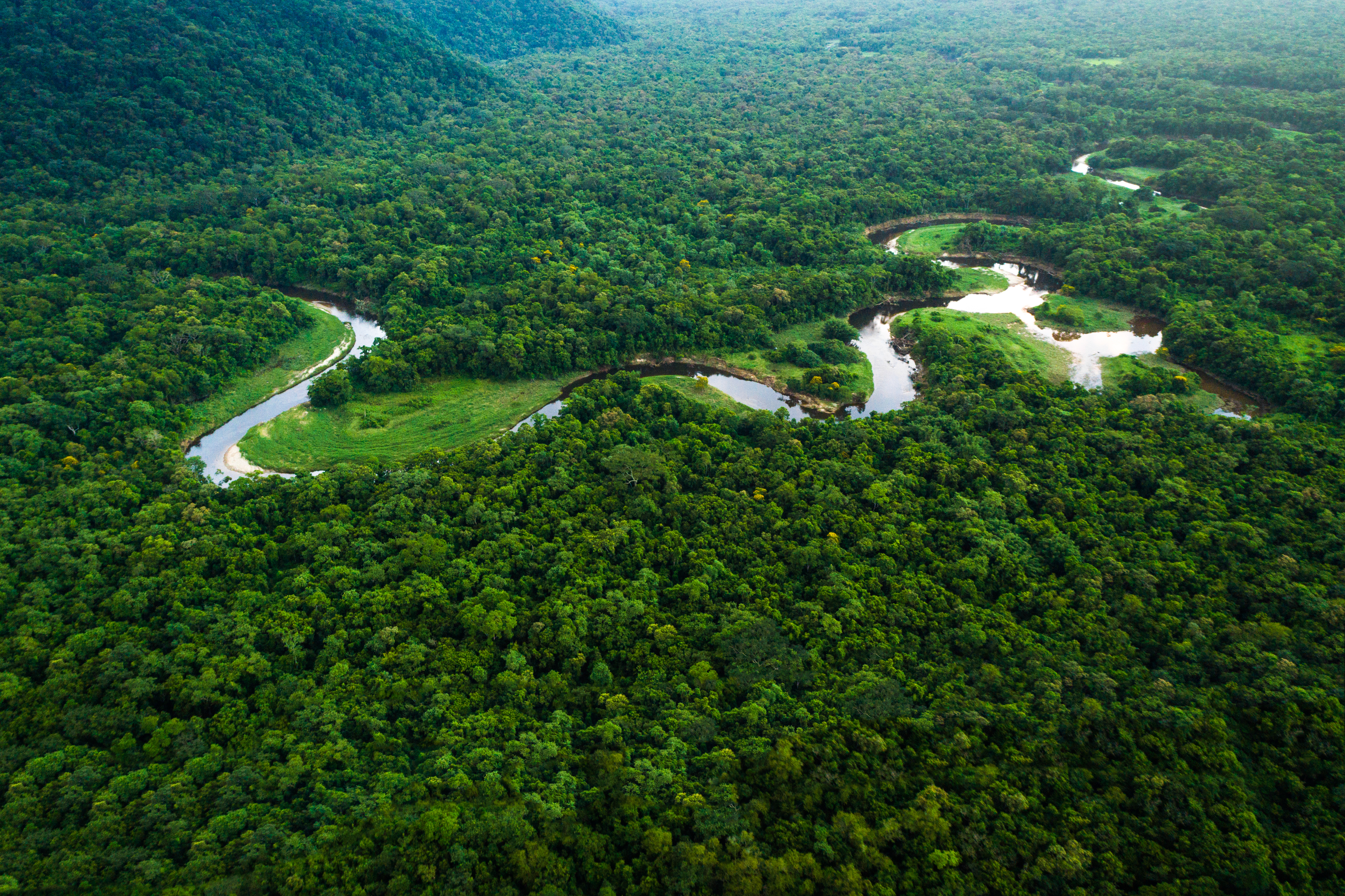 Elementos de Paisagem e Processos Ecológicos do Bioma Cerrado