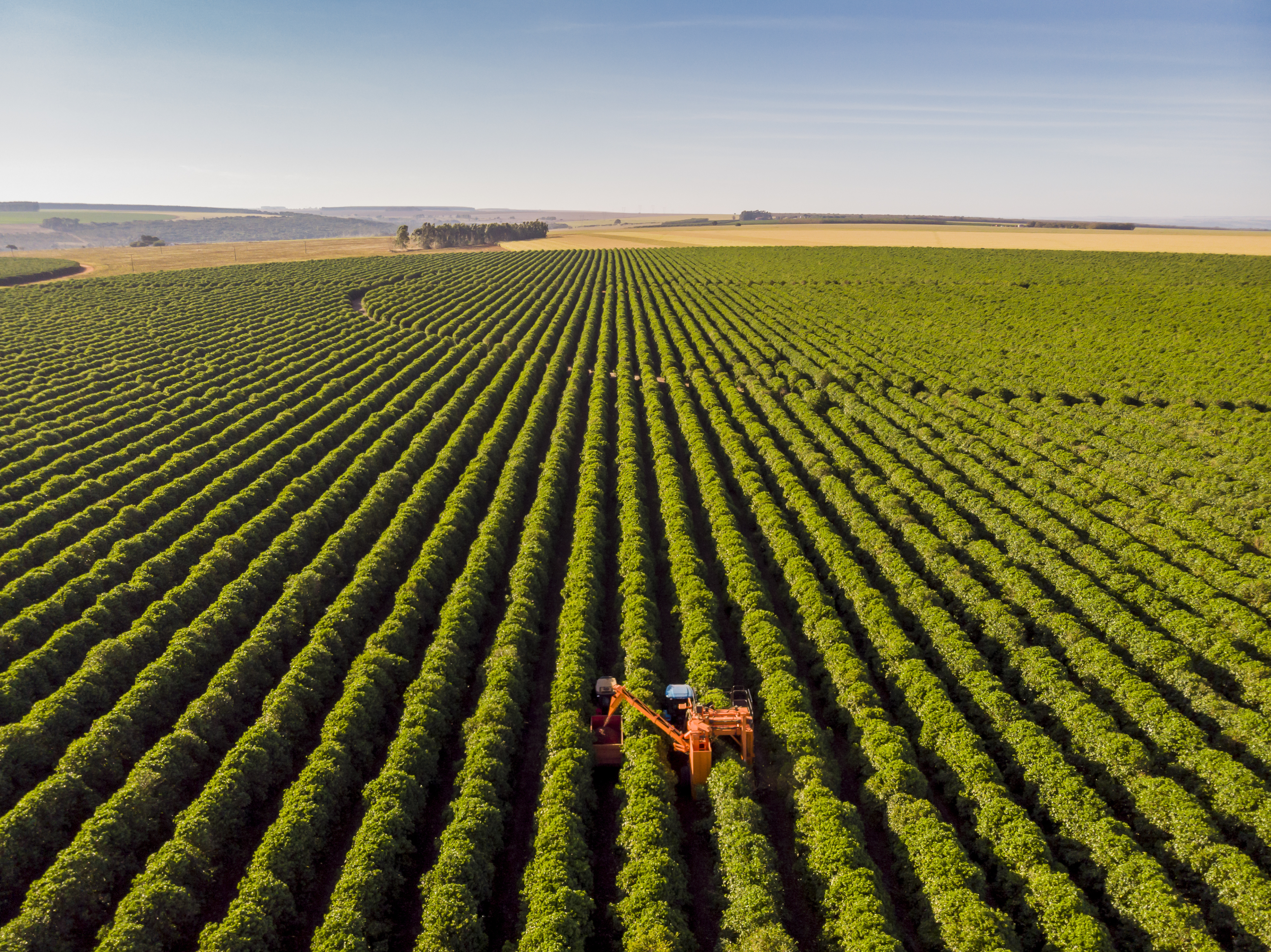 Agropecuária Sustentável