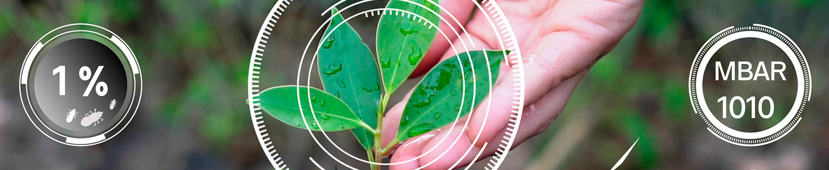 Introdução à Agricultura de Precisão