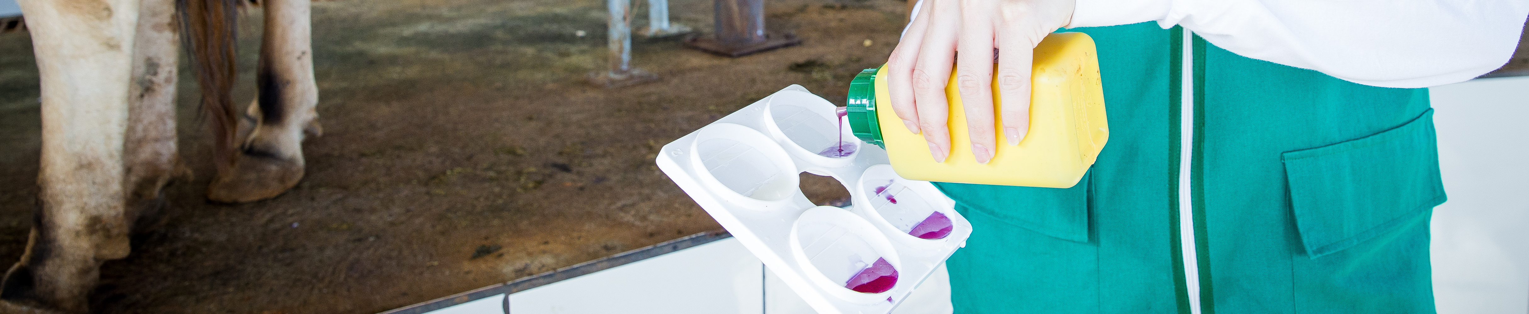 Manejo Sanitário e Qualidade do Leite