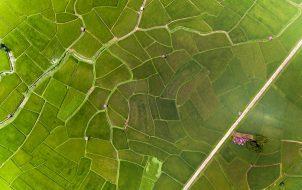 Mapeamento da Propriedade Rural