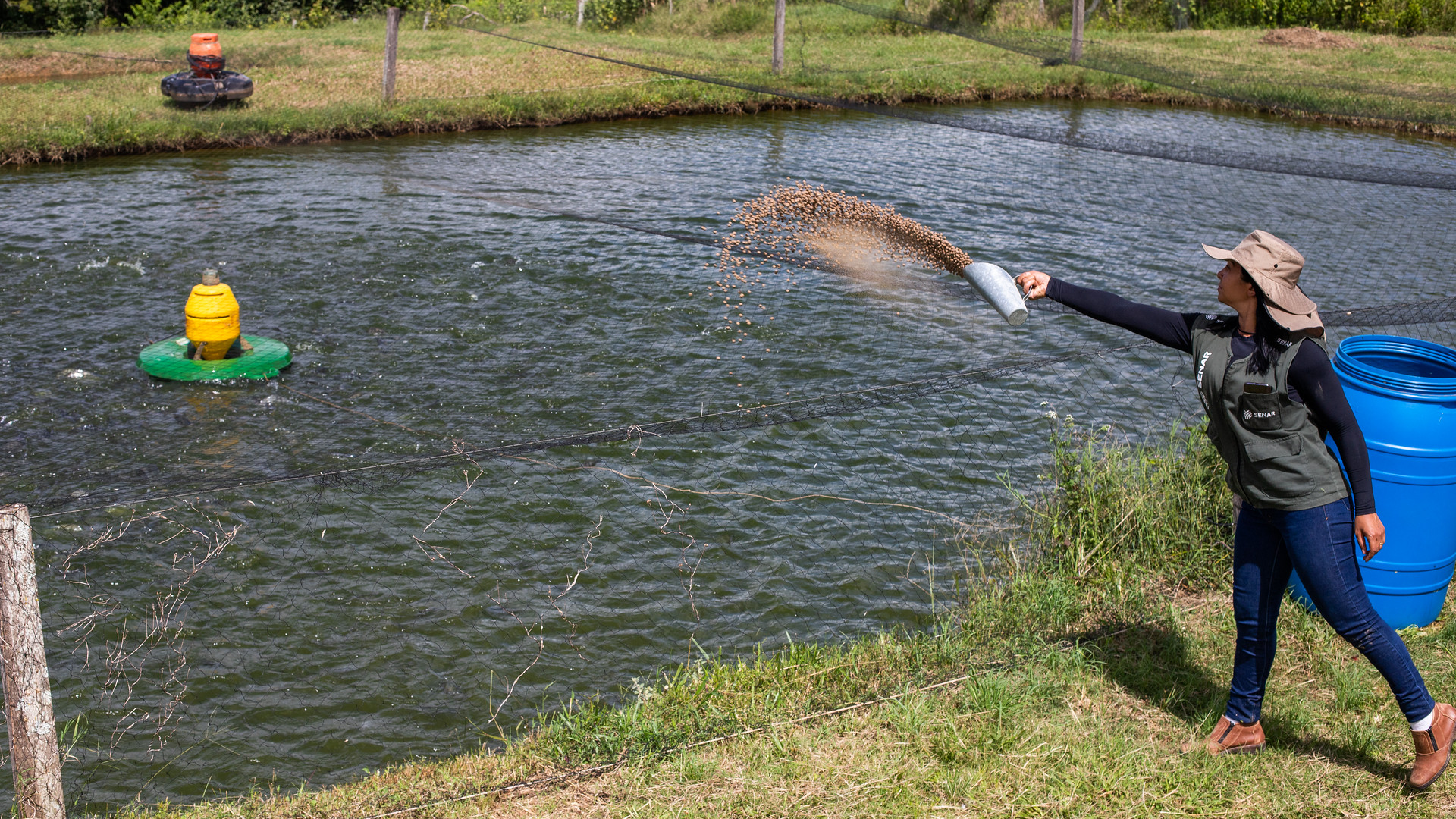 Aplicação de medicamentos em peixes via alimentação e imersão
