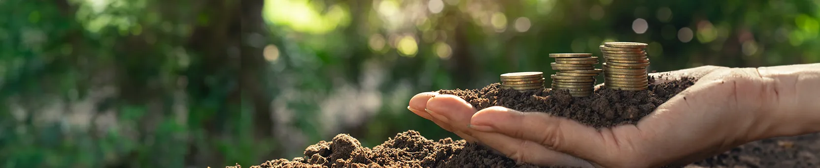Educacao financeira para o produtor rural. Aprenda a organizar e planejar as finanças da sua propriedade rural com o curso Educação Financeira para o Produtor Rural do Senar Play. Curso online gratuito.