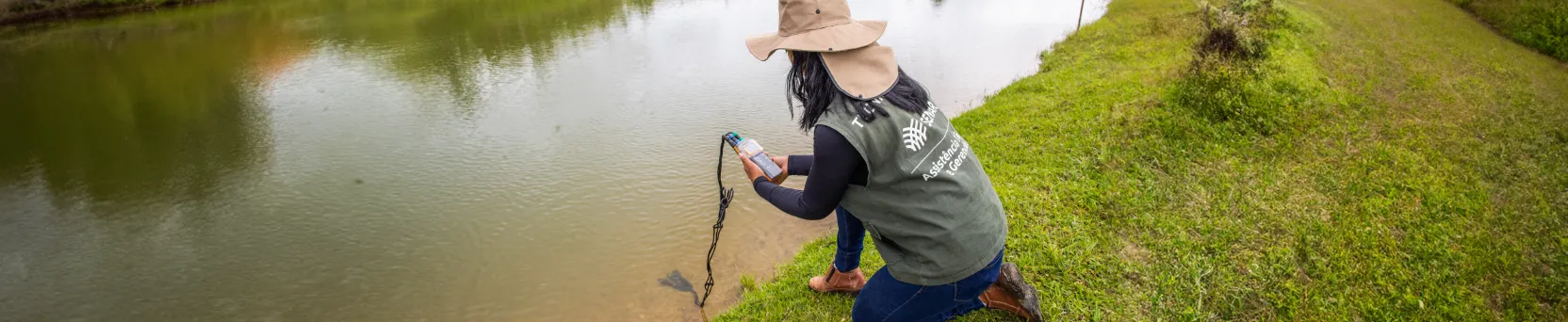 Qualidade da Água na Criação de Tilápia Garanta peixes saudáveis e maximize seus lucros com o curso gratuito sobre qualidade da água na criação de tilápia. Curso online gratuito