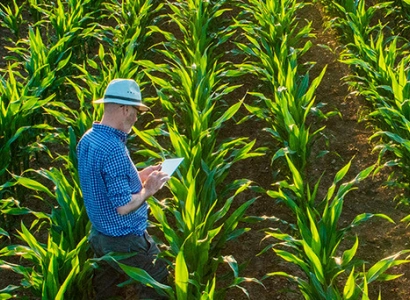 O Agronegócio e o Crescimento Brasileiro