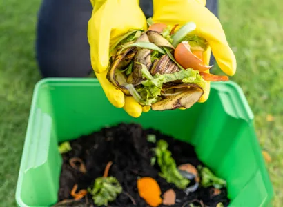 Aprenda a transformar resíduos orgânicos em fertilizante natural de alta qualidade. Curso online gratuito
