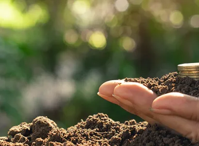 Aprenda a organizar e planejar as finanças da sua propriedade rural com o curso Educação Financeira para o Produtor Rural do Senar Play. Curso online gratuito.