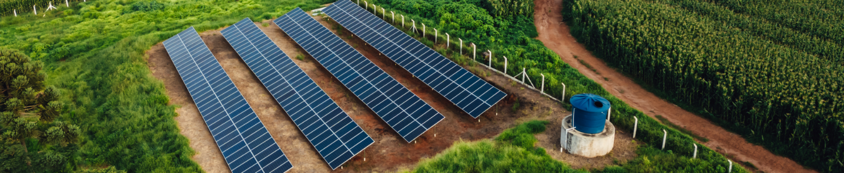 Agroenergia: transição energética sustentável