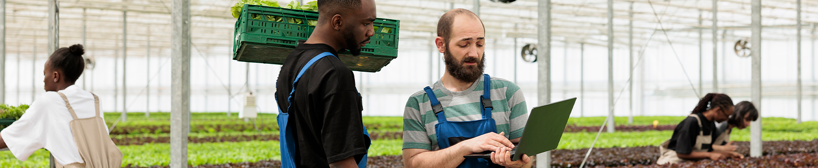 Comercialização de Produtos Agrícolas com Valor Agregado