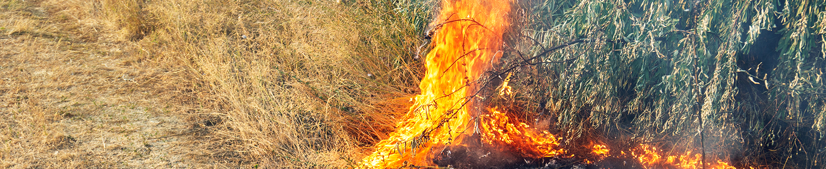 Prevenção e Controle do Fogo na Agricultura