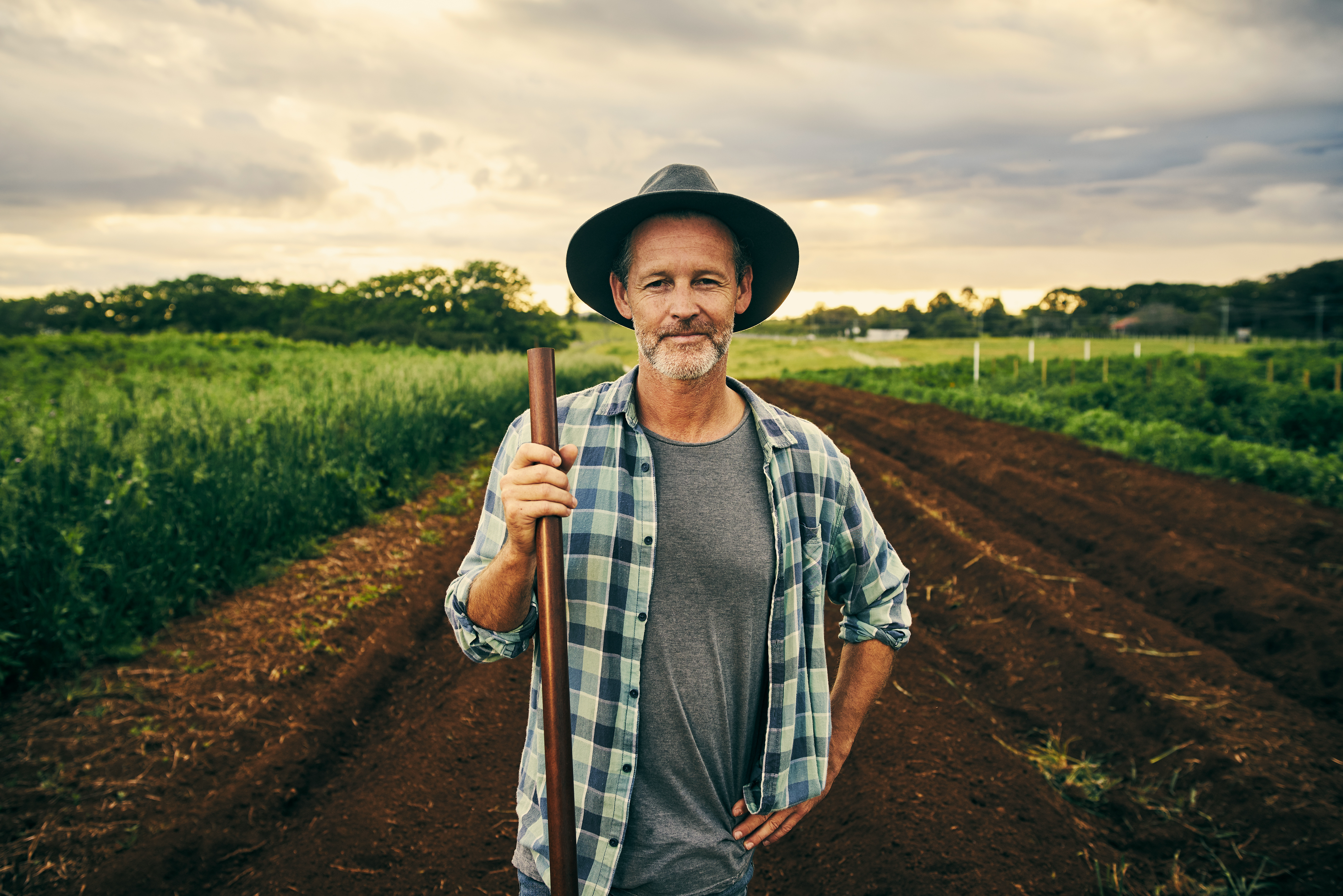Habilitação de Aplicadores de Defensivos Agrícolas