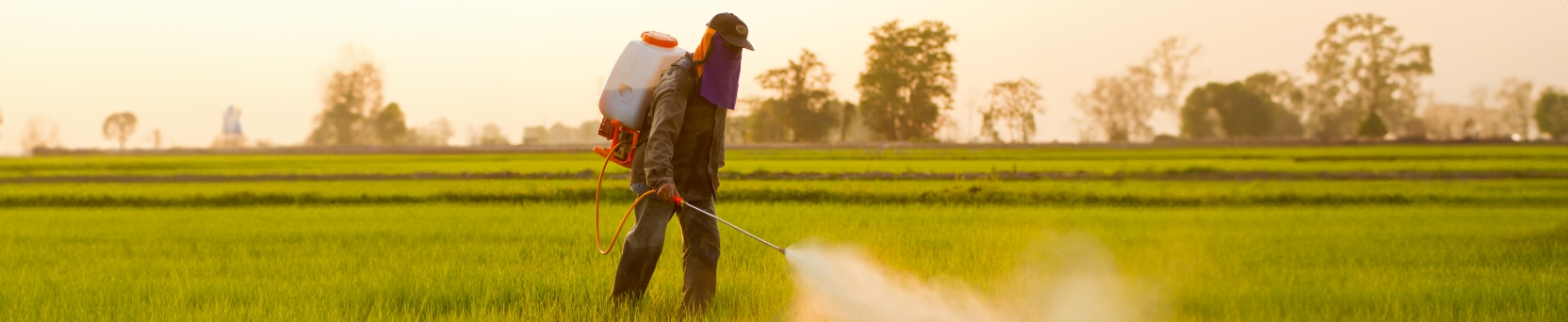 Segurança no uso de EPIs para aplicação de defensivos agrícolas