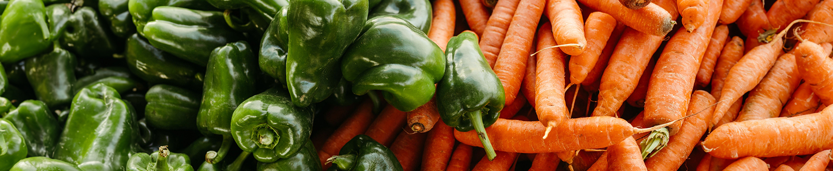 Rastreabilidade Vegetal